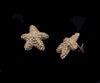 Vintage Tiffany & Co. 18K Yellow Gold Bumpy Starfish Stud Earrings