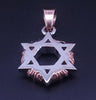 Star of David pendant Two-Tone 14K Gold, W / R
